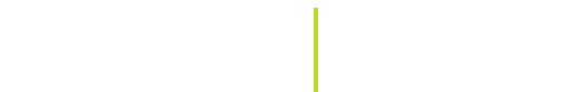 iaee logo